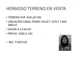 Imagen No Disponible